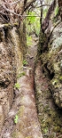Plants: image 91 Of 208 Thumb